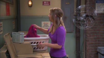 Charmed-Online_dot_net-TBBT2x21TheHawkingExcitation0034.jpg