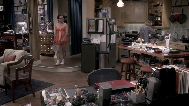 Charmed-Online_dot_nl-TBBT-9x09-1054.jpg