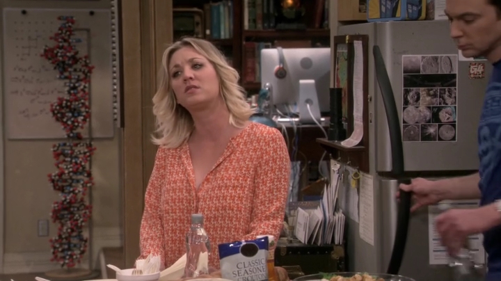 Charmed-Online-dot_nl-TBBT-S09E21-0161.jpg