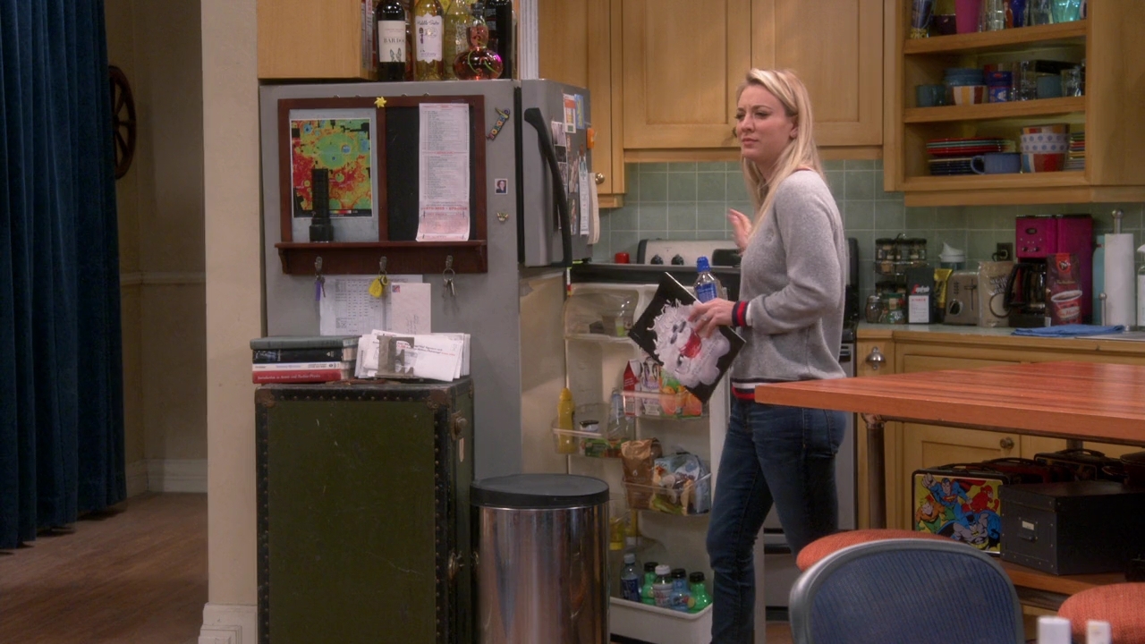 CharmedOnline-dot-nl_TheBigBangTheory12x09-0152.jpg