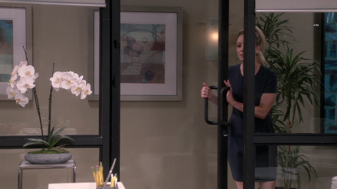 CharmedOnline-dot-nl_TheBigBangTheory12x09-0237.jpg