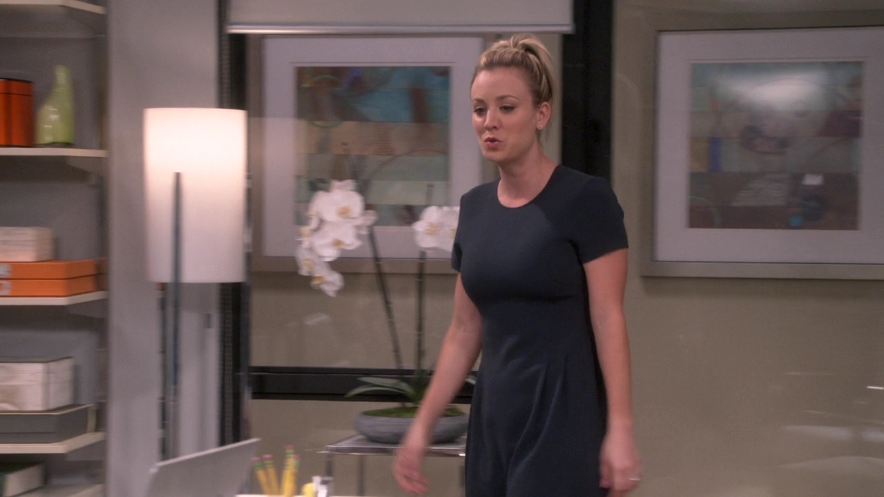 CharmedOnline-dot-nl_TheBigBangTheory12x09-0242.jpg