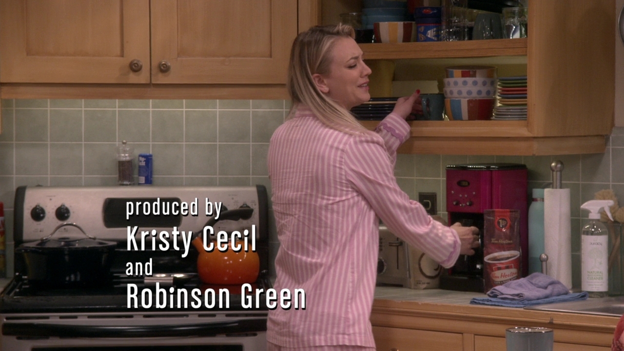 CharmedOnline-dot-nl_TheBigBangTheory12x10-0120.jpg