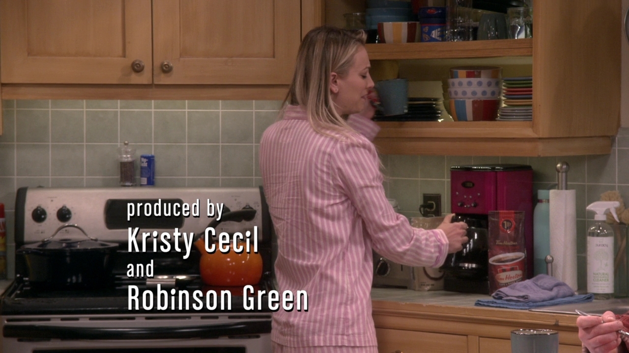 CharmedOnline-dot-nl_TheBigBangTheory12x10-0121.jpg