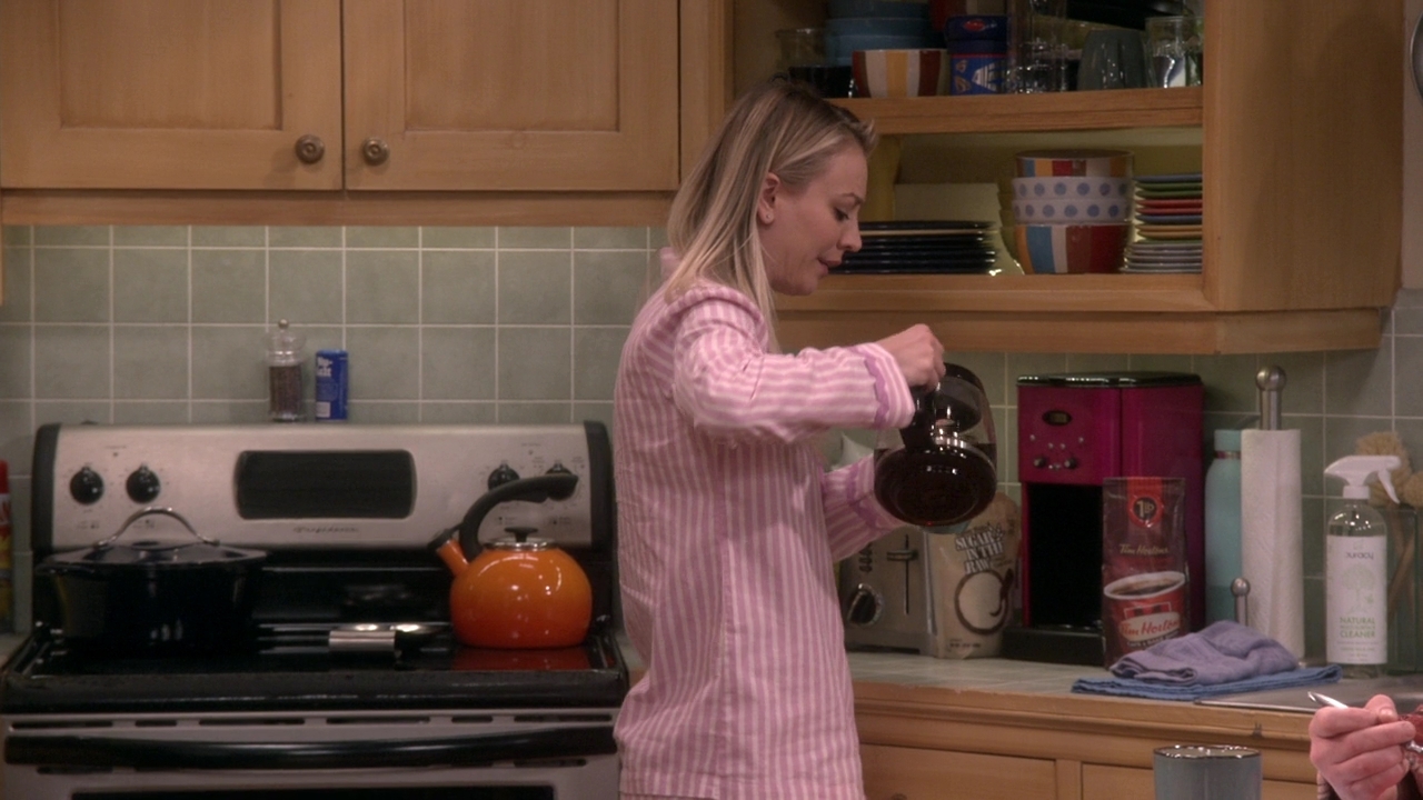 CharmedOnline-dot-nl_TheBigBangTheory12x10-0123.jpg