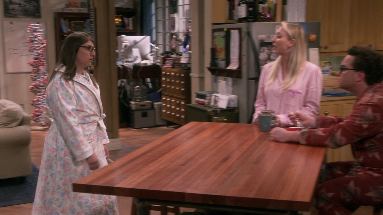 CharmedOnline-dot-nl_TheBigBangTheory12x10-0143.jpg