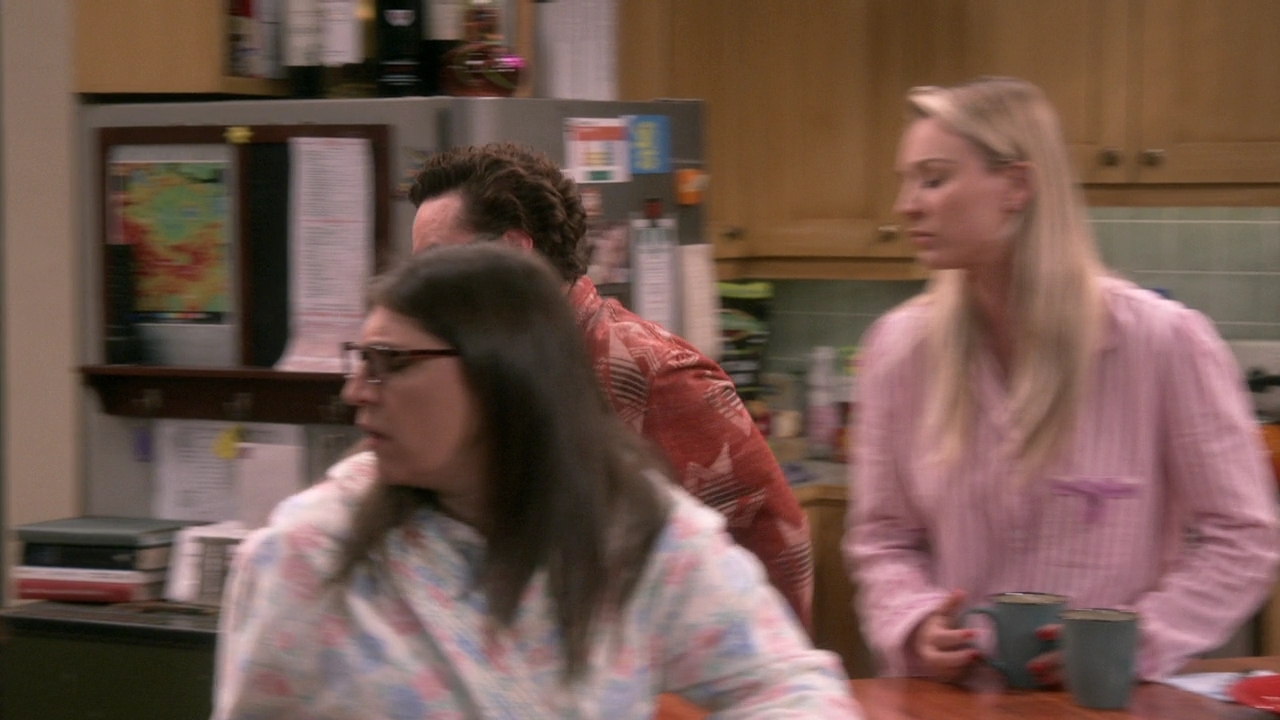 CharmedOnline-dot-nl_TheBigBangTheory12x10-0170.jpg