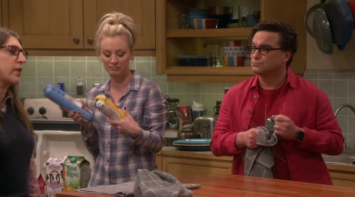 Chamed-Online-dot-nl_TheBigBangTheory12x18-0540.jpg