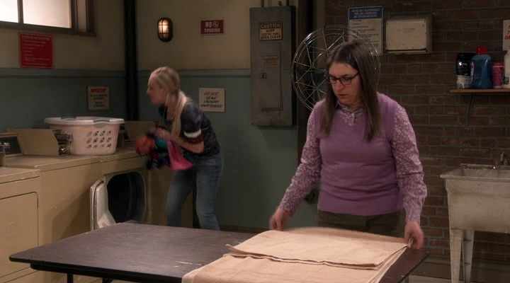 Chamed-Online-dot-nl_TheBigBangTheory12x18-0711.jpg