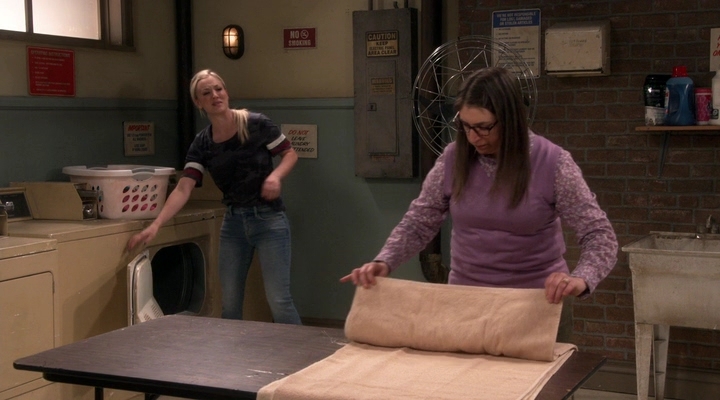 Chamed-Online-dot-nl_TheBigBangTheory12x18-0712.jpg