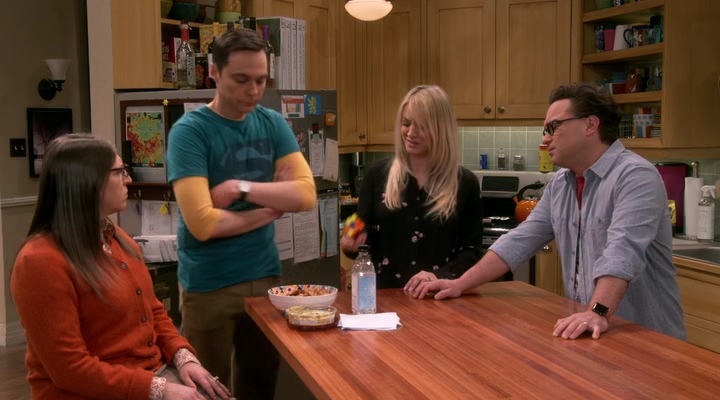 Chamed-Online-dot-nl_TheBigBangTheory12x19-0204.jpg