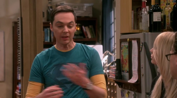 Chamed-Online-dot-nl_TheBigBangTheory12x19-0216.jpg