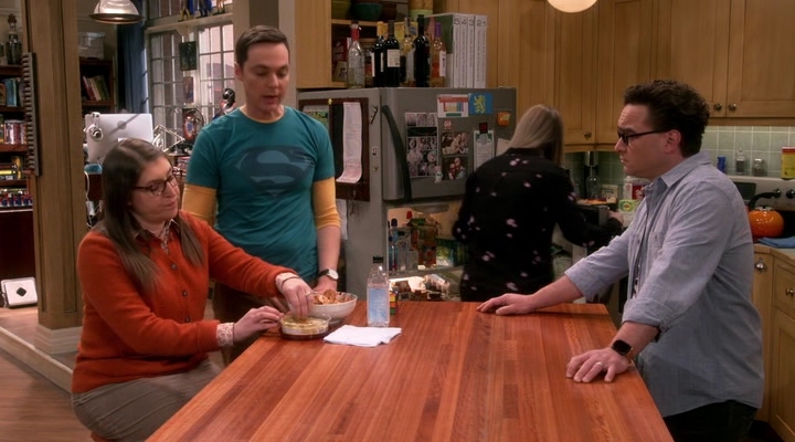Chamed-Online-dot-nl_TheBigBangTheory12x19-0232.jpg
