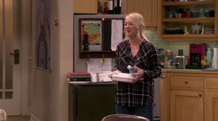 Chamed-Online-dot-nl_TheBigBangTheory12x20-0347.jpg