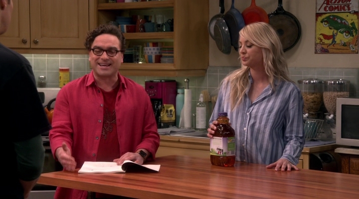 Chamed-Online-dot-nl_TheBigBangTheory12x20-0537.jpg