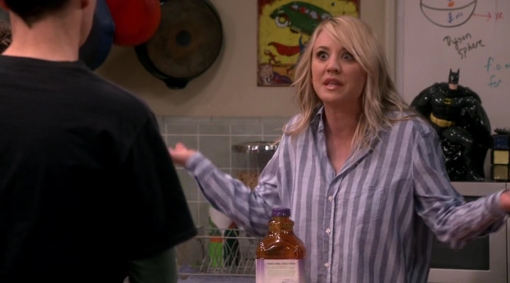 Chamed-Online-dot-nl_TheBigBangTheory12x20-0554.jpg