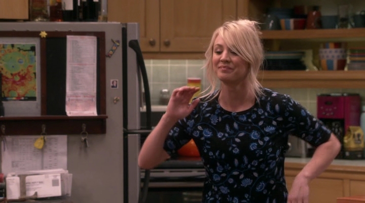 Chamed-Online-dot-nl_TheBigBangTheory12x20-0650.jpg