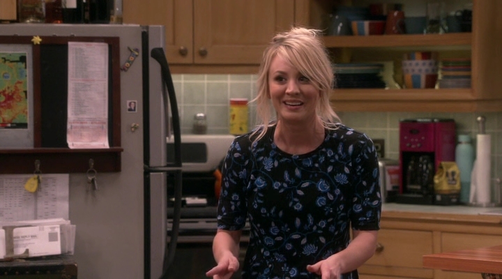Chamed-Online-dot-nl_TheBigBangTheory12x20-0668.jpg