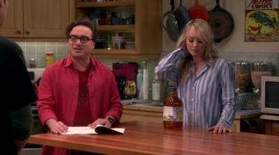 Chamed-Online-dot-nl_TheBigBangTheory12x20-0538.jpg