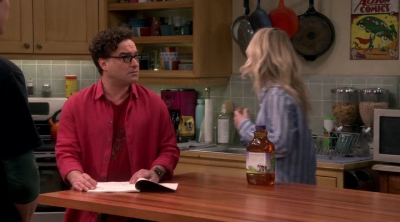 Chamed-Online-dot-nl_TheBigBangTheory12x20-0555.jpg