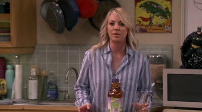 Chamed-Online-dot-nl_TheBigBangTheory12x20-0560.jpg