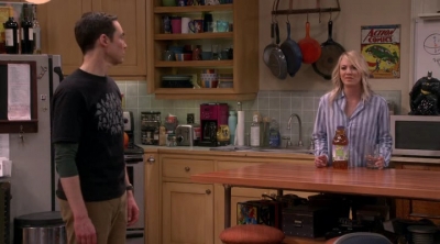 Chamed-Online-dot-nl_TheBigBangTheory12x20-0568.jpg