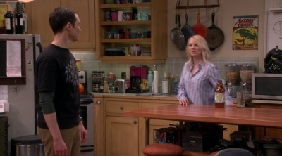 Chamed-Online-dot-nl_TheBigBangTheory12x20-0569.jpg