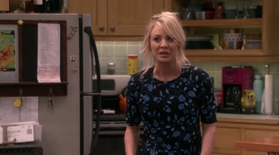 Chamed-Online-dot-nl_TheBigBangTheory12x20-0666.jpg