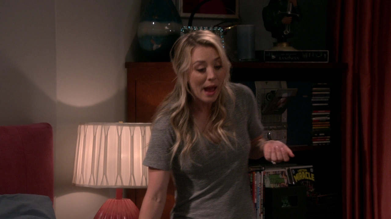 Chamed-Online-dot-nl_TheBigBangTheory12x21-0405.jpg