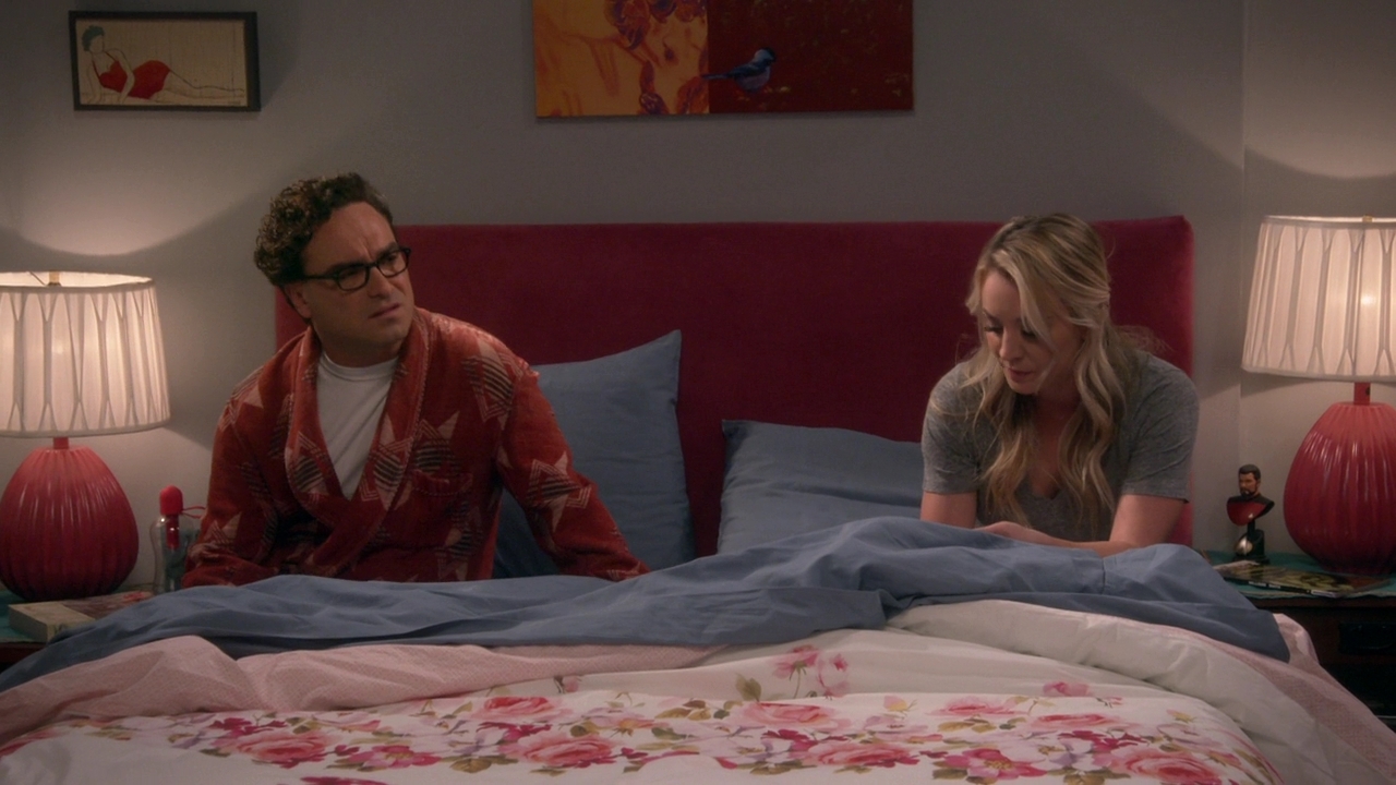 Chamed-Online-dot-nl_TheBigBangTheory12x21-0421.jpg