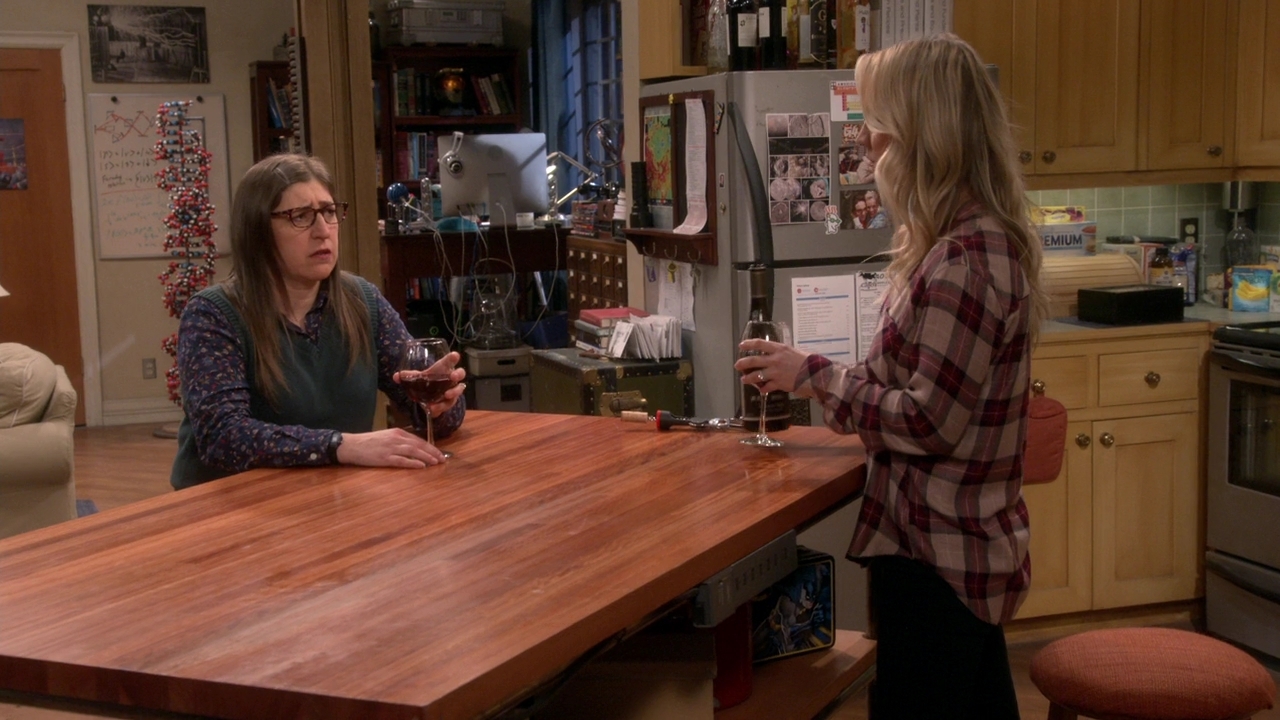 Chamed-Online-dot-nl_TheBigBangTheory12x21-0551.jpg