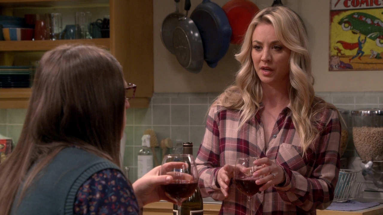 Chamed-Online-dot-nl_TheBigBangTheory12x21-0552.jpg