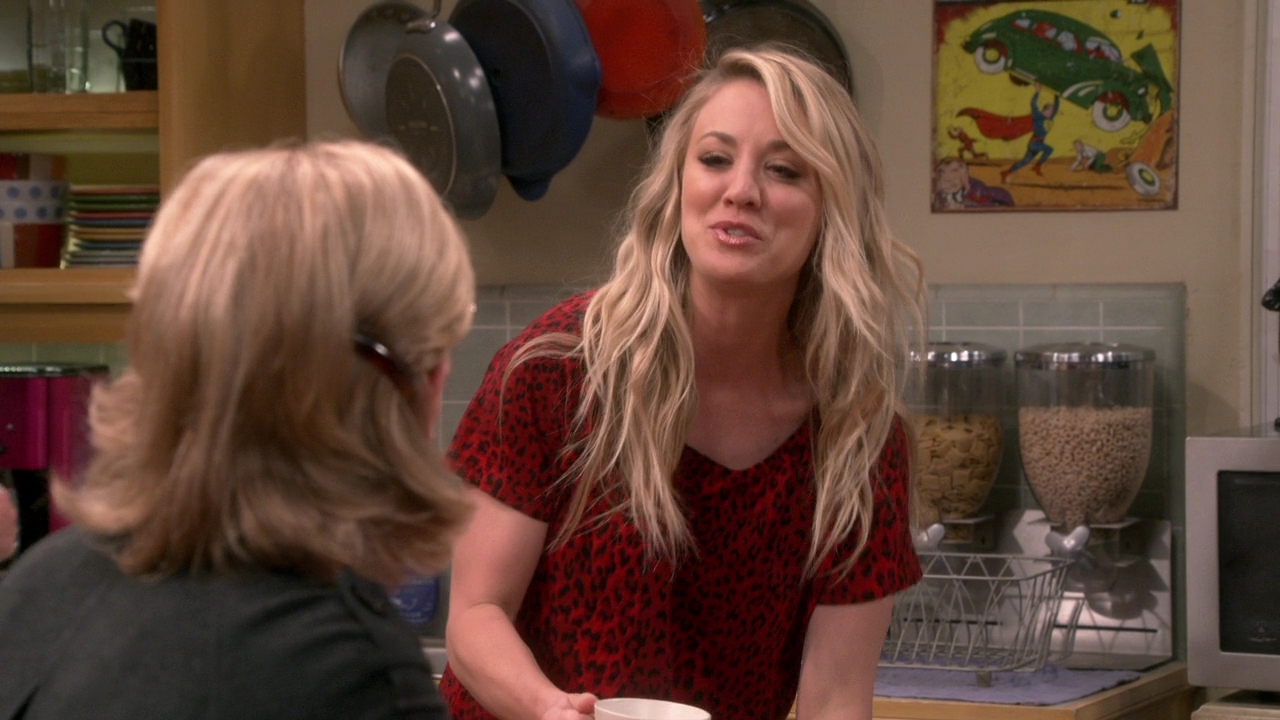 Chamed-Online-dot-nl_TheBigBangTheory12x22-0522.jpg