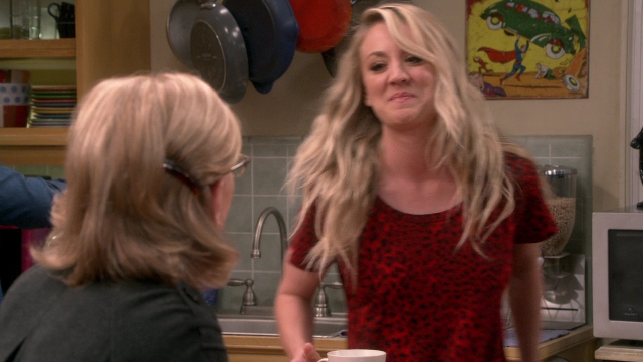 Chamed-Online-dot-nl_TheBigBangTheory12x22-0524.jpg