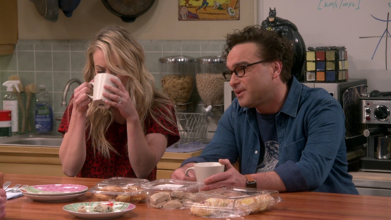 Chamed-Online-dot-nl_TheBigBangTheory12x22-0559.jpg
