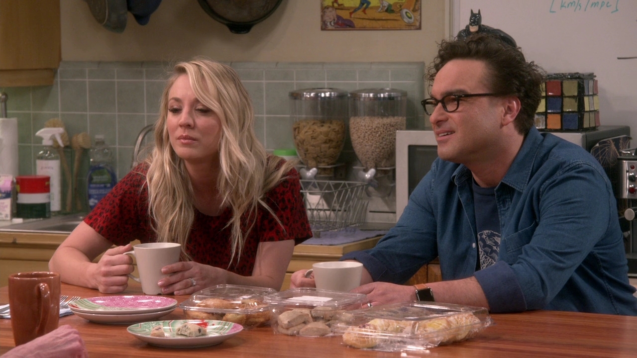 Chamed-Online-dot-nl_TheBigBangTheory12x22-0591.jpg