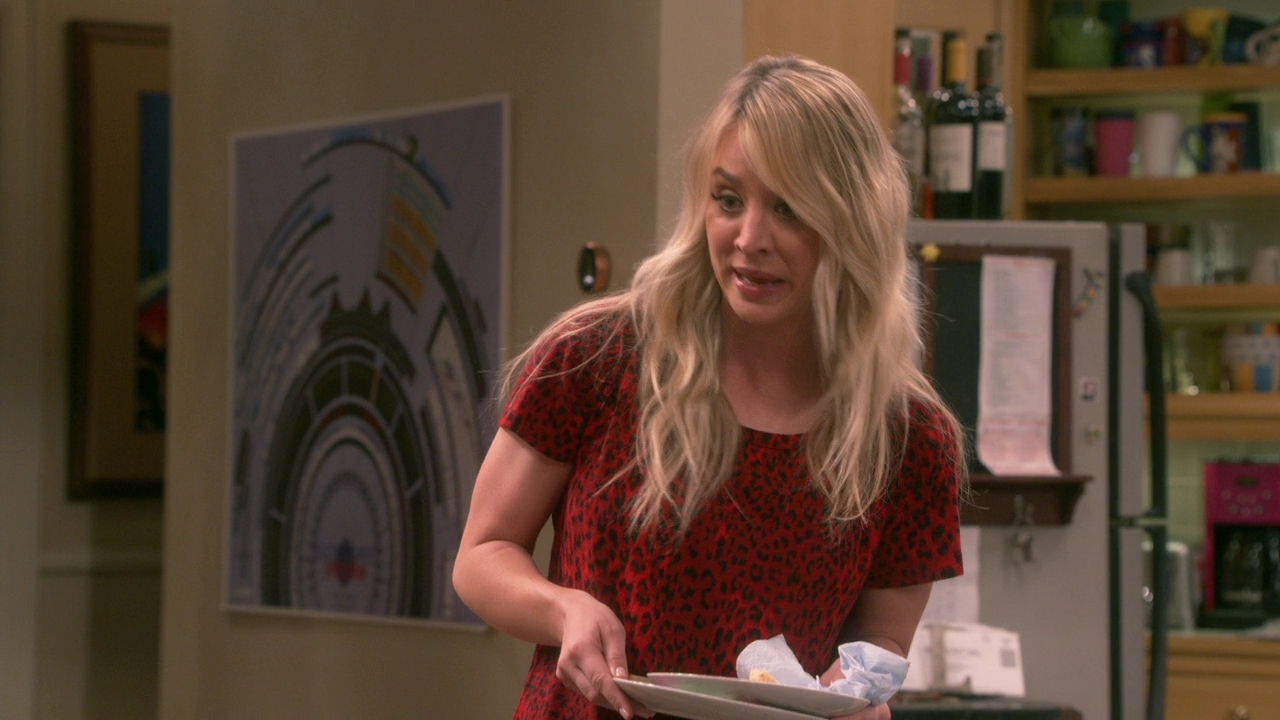 Chamed-Online-dot-nl_TheBigBangTheory12x22-0755.jpg