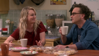 Chamed-Online-dot-nl_TheBigBangTheory12x22-0579.jpg