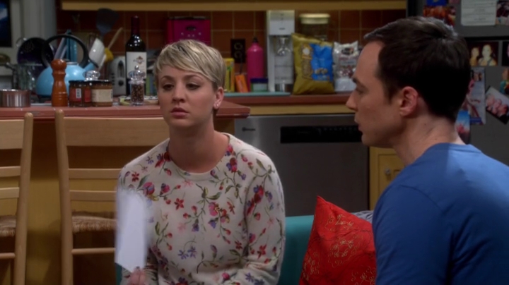 charmed-online-dot-net_TBBT-S08E16-0339.jpg