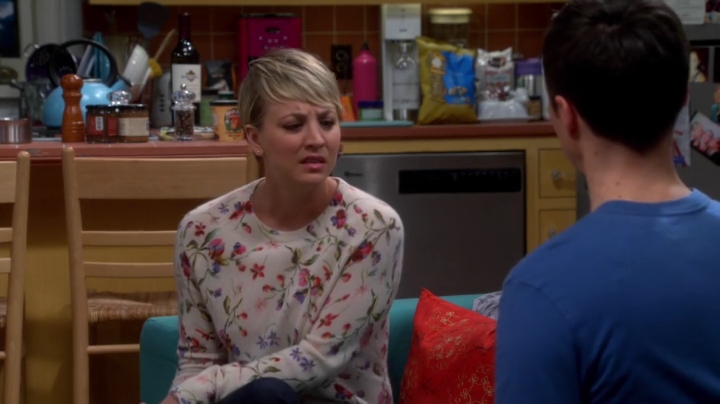 charmed-online-dot-net_TBBT-S08E16-0430.jpg