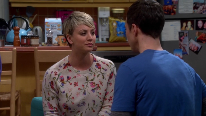 charmed-online-dot-net_TBBT-S08E16-0949.jpg