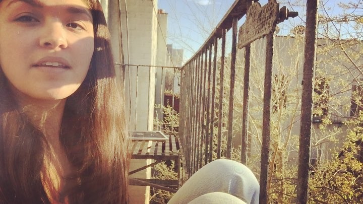 010.jpg