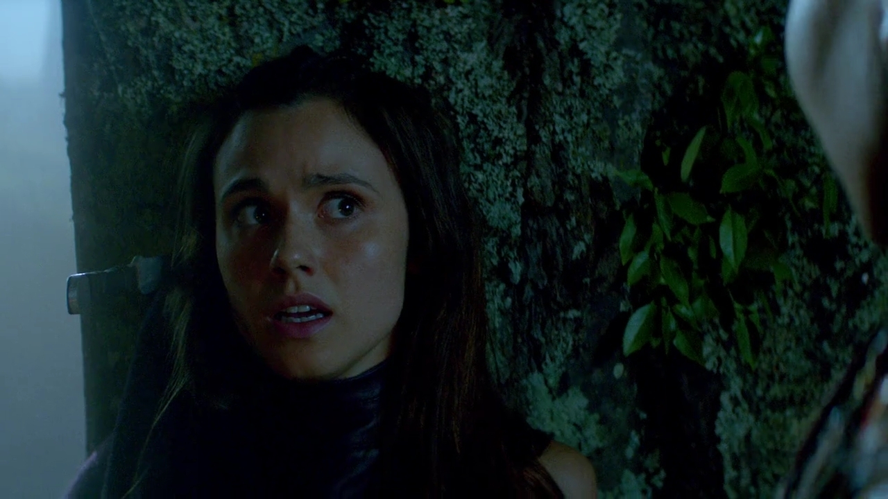 Charmed-Online-dot-nl-TheShannaraChronicles1x02-0341.jpg