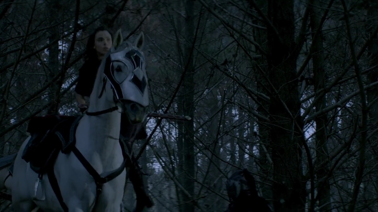 Charmed-Online-dot-nl-TheShannaraChronicles1x05-1903.jpg