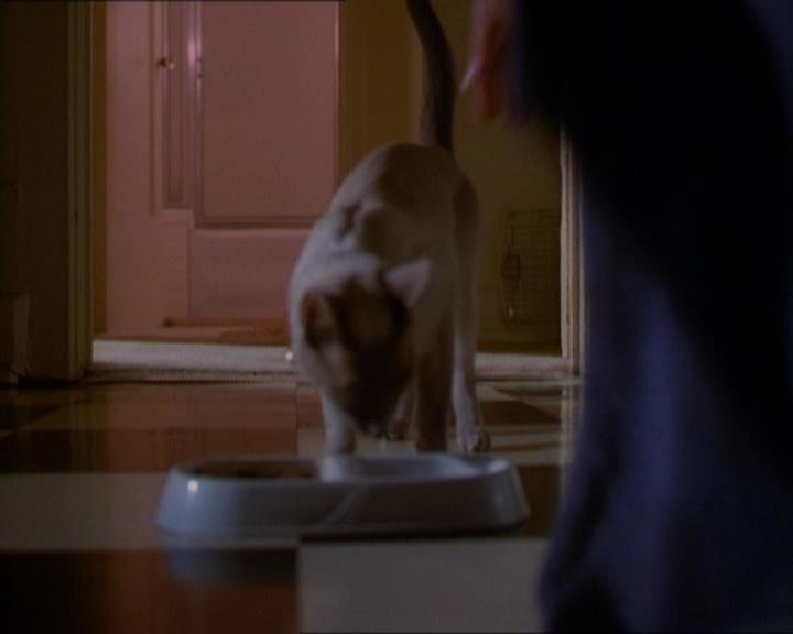 Charmed-Online_dot_net-1x01SomethingWiccaThisWayComes0020.jpg