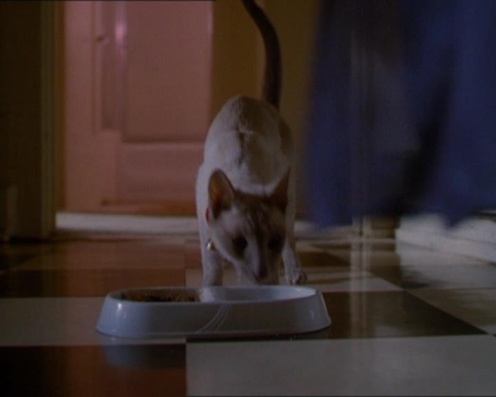 Charmed-Online_dot_net-1x01SomethingWiccaThisWayComes0021.jpg