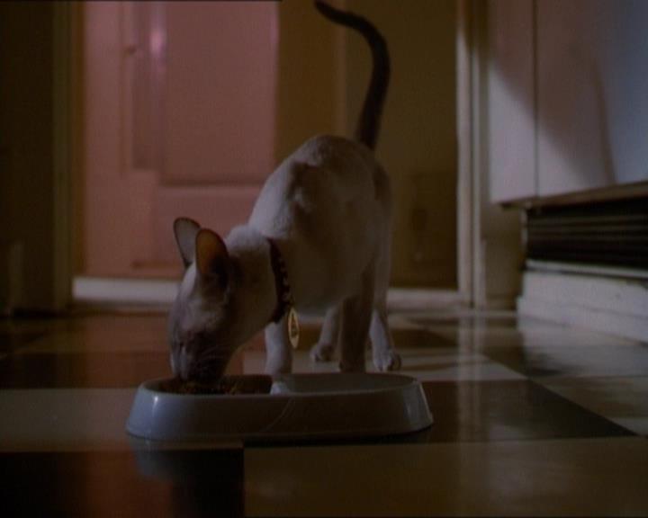 Charmed-Online_dot_net-1x01SomethingWiccaThisWayComes0023.jpg