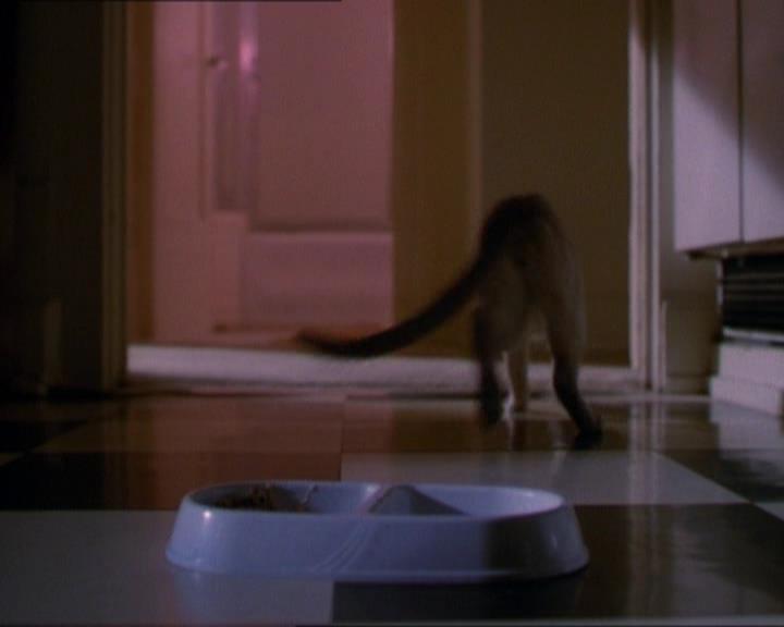 Charmed-Online_dot_net-1x01SomethingWiccaThisWayComes0070.jpg