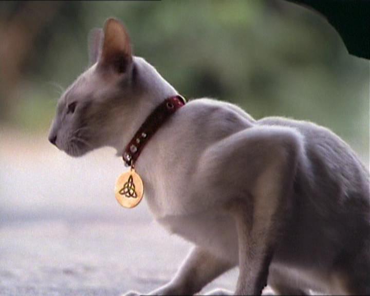 Charmed-Online_dot_net-1x01SomethingWiccaThisWayComes1462.jpg Charmed-Online_dot_net-1x01SomethingWiccaThisWayComes1462.jpg