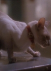 Charmed-Online_dot_net-1x01SomethingWiccaThisWayComes1711.jpg